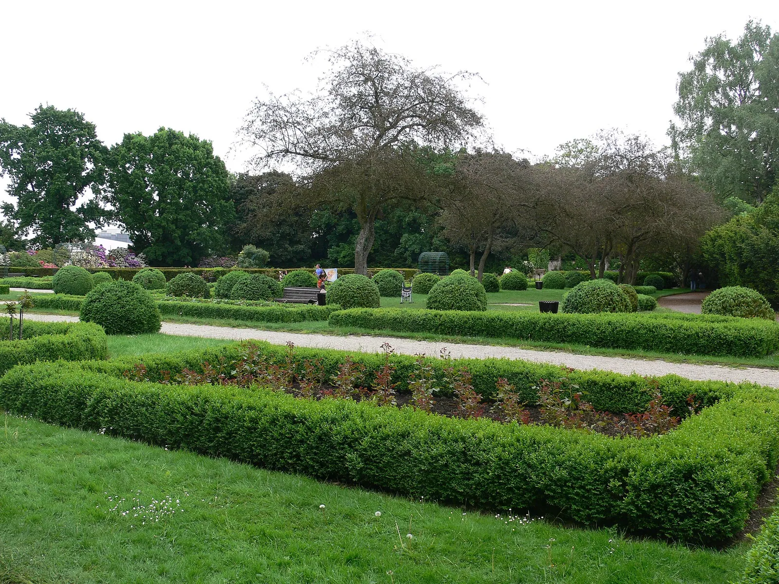 Rosengarten im Volkspark Humboldthain.